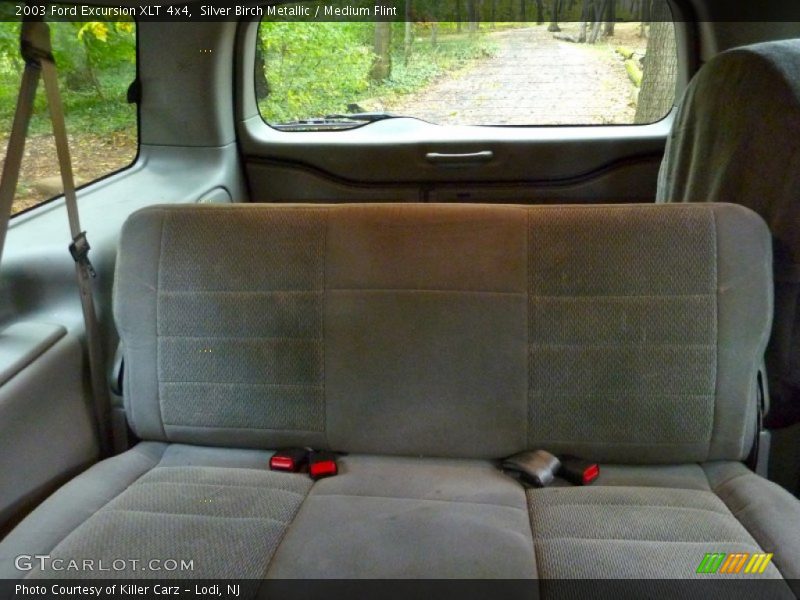 Silver Birch Metallic / Medium Flint 2003 Ford Excursion XLT 4x4