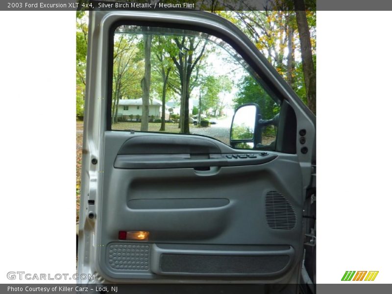 Silver Birch Metallic / Medium Flint 2003 Ford Excursion XLT 4x4