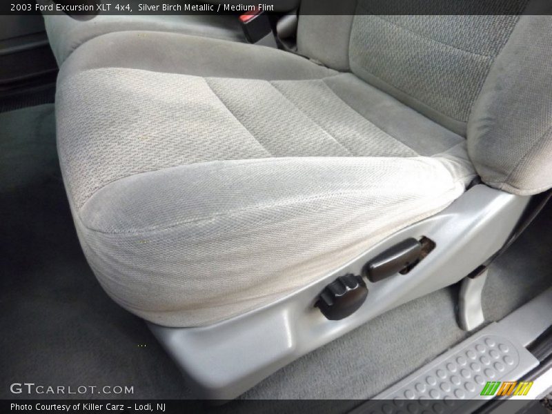 Silver Birch Metallic / Medium Flint 2003 Ford Excursion XLT 4x4