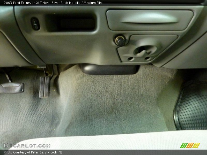 Silver Birch Metallic / Medium Flint 2003 Ford Excursion XLT 4x4