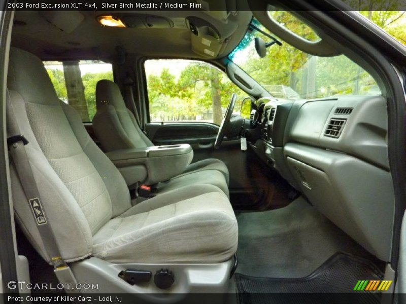 Silver Birch Metallic / Medium Flint 2003 Ford Excursion XLT 4x4