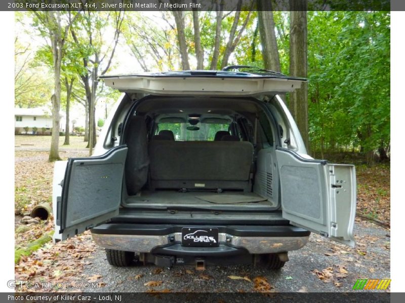 Silver Birch Metallic / Medium Flint 2003 Ford Excursion XLT 4x4