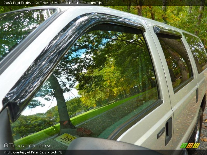 Silver Birch Metallic / Medium Flint 2003 Ford Excursion XLT 4x4