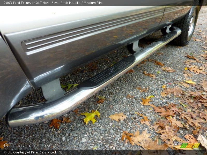 Silver Birch Metallic / Medium Flint 2003 Ford Excursion XLT 4x4