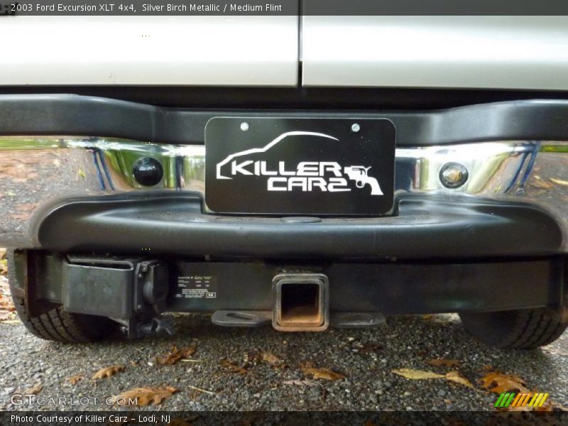 Silver Birch Metallic / Medium Flint 2003 Ford Excursion XLT 4x4