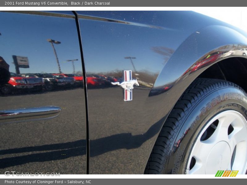 Black / Dark Charcoal 2001 Ford Mustang V6 Convertible