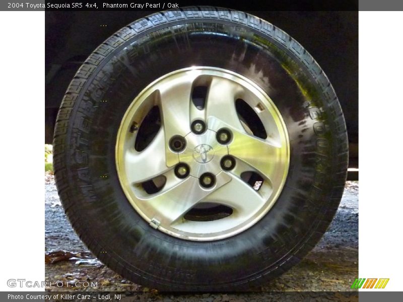 Phantom Gray Pearl / Oak 2004 Toyota Sequoia SR5 4x4