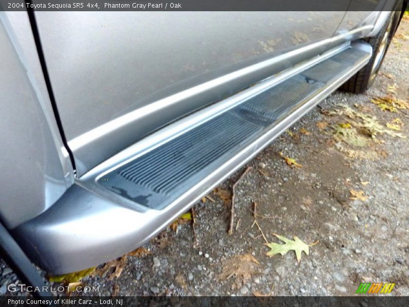 Phantom Gray Pearl / Oak 2004 Toyota Sequoia SR5 4x4