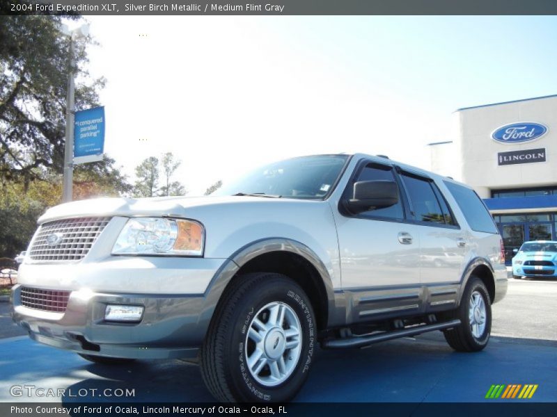 Silver Birch Metallic / Medium Flint Gray 2004 Ford Expedition XLT