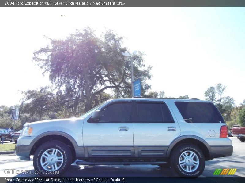 Silver Birch Metallic / Medium Flint Gray 2004 Ford Expedition XLT