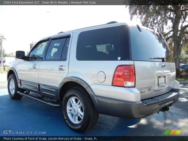 Silver Birch Metallic / Medium Flint Gray 2004 Ford Expedition XLT