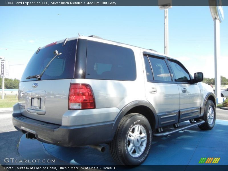 Silver Birch Metallic / Medium Flint Gray 2004 Ford Expedition XLT