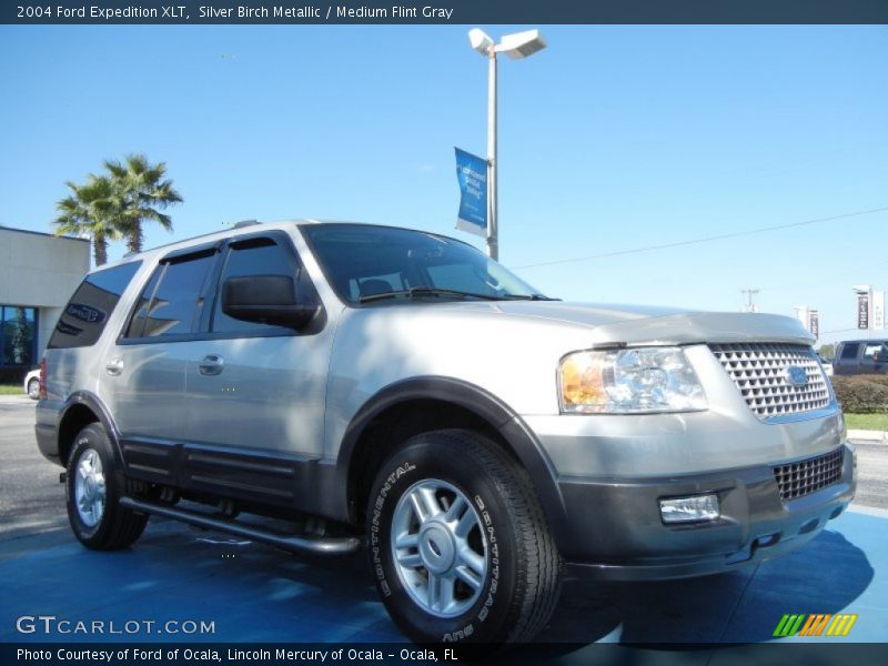 Silver Birch Metallic / Medium Flint Gray 2004 Ford Expedition XLT