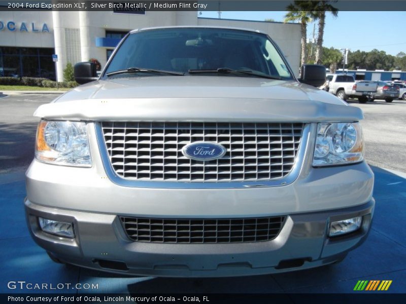 Silver Birch Metallic / Medium Flint Gray 2004 Ford Expedition XLT