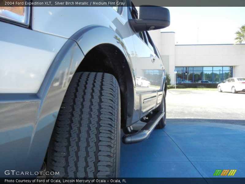 Silver Birch Metallic / Medium Flint Gray 2004 Ford Expedition XLT