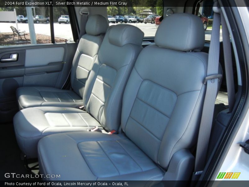 Silver Birch Metallic / Medium Flint Gray 2004 Ford Expedition XLT
