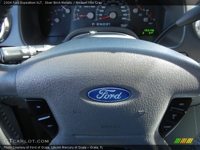Silver Birch Metallic / Medium Flint Gray 2004 Ford Expedition XLT