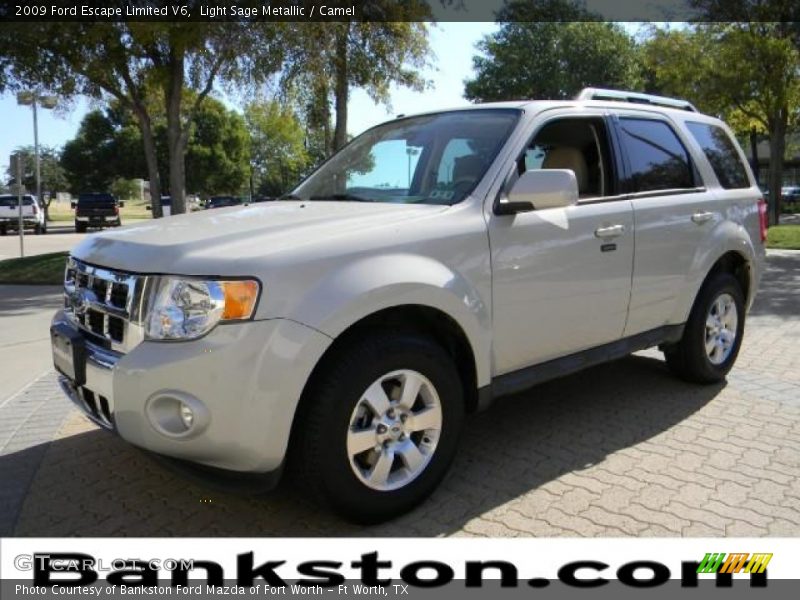 Light Sage Metallic / Camel 2009 Ford Escape Limited V6
