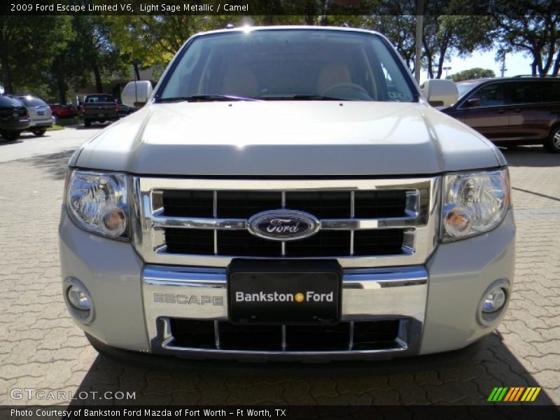 Light Sage Metallic / Camel 2009 Ford Escape Limited V6