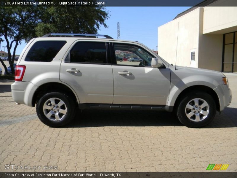 Light Sage Metallic / Camel 2009 Ford Escape Limited V6