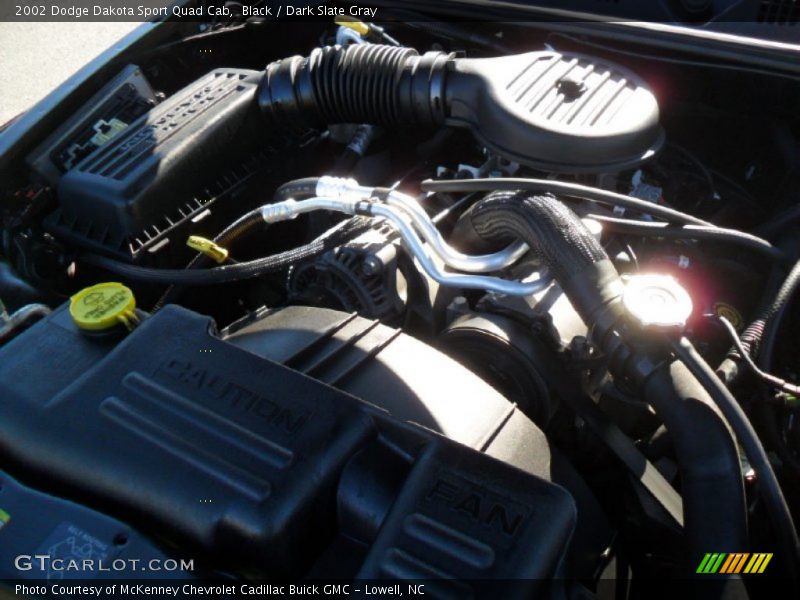 Black / Dark Slate Gray 2002 Dodge Dakota Sport Quad Cab