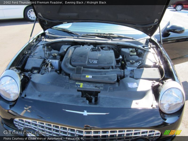 Evening Black / Midnight Black 2002 Ford Thunderbird Premium Roadster