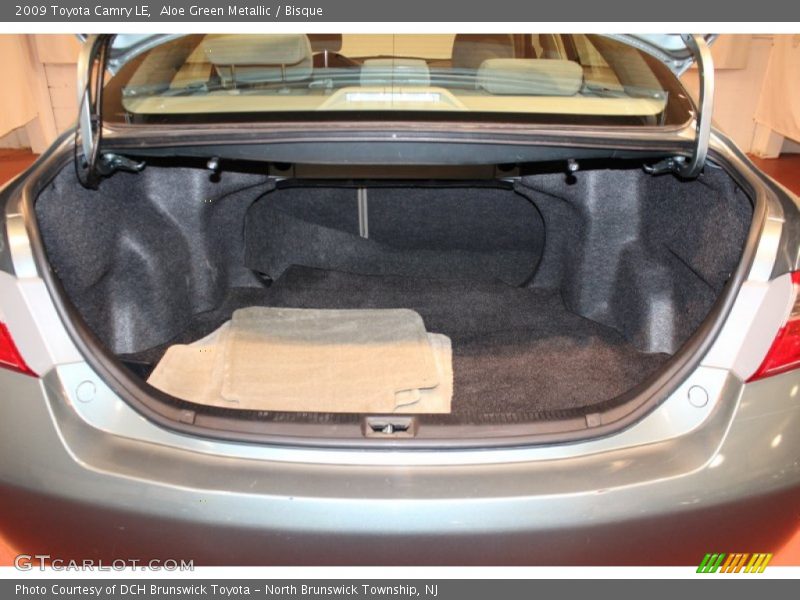 Aloe Green Metallic / Bisque 2009 Toyota Camry LE