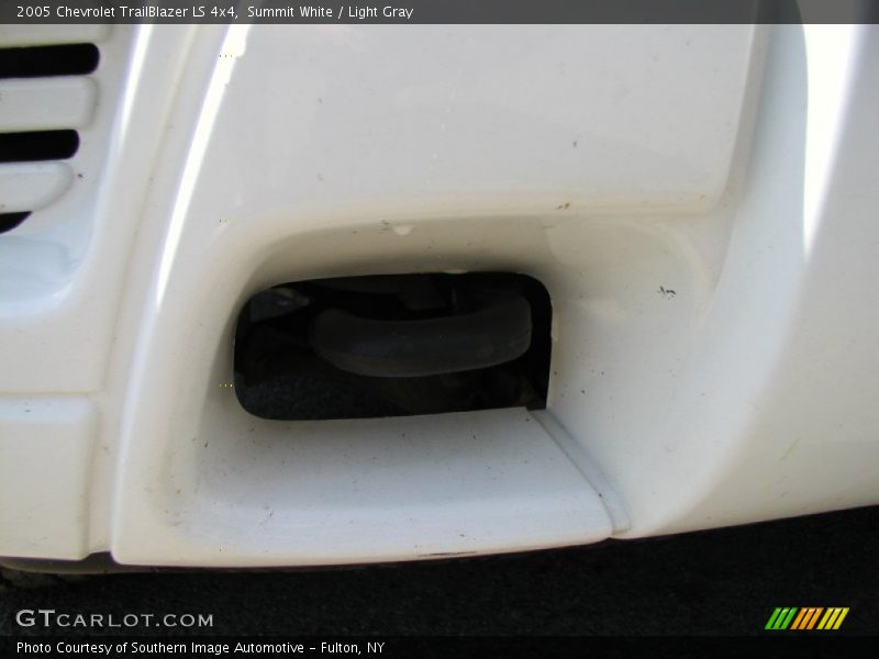 Summit White / Light Gray 2005 Chevrolet TrailBlazer LS 4x4