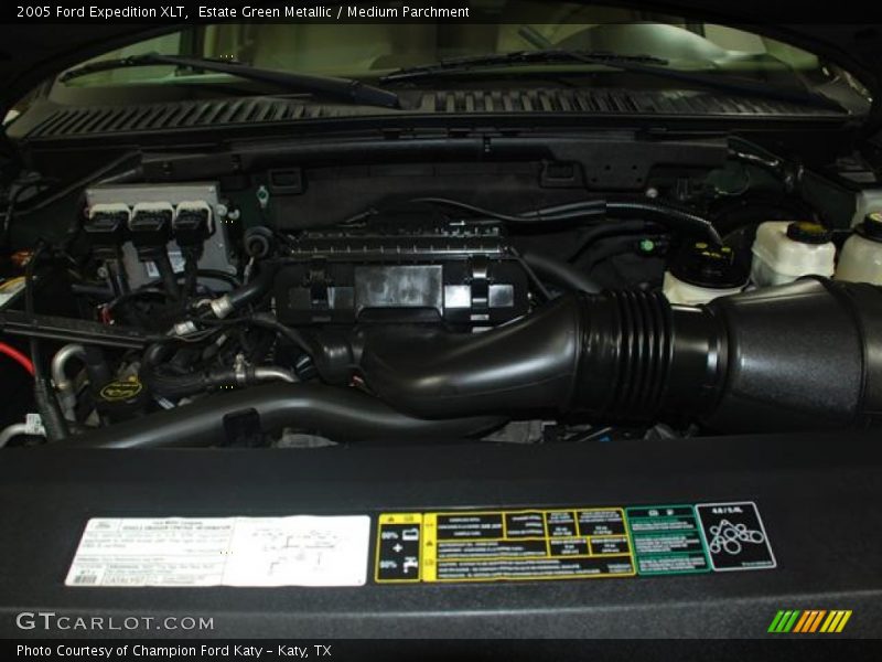 Estate Green Metallic / Medium Parchment 2005 Ford Expedition XLT