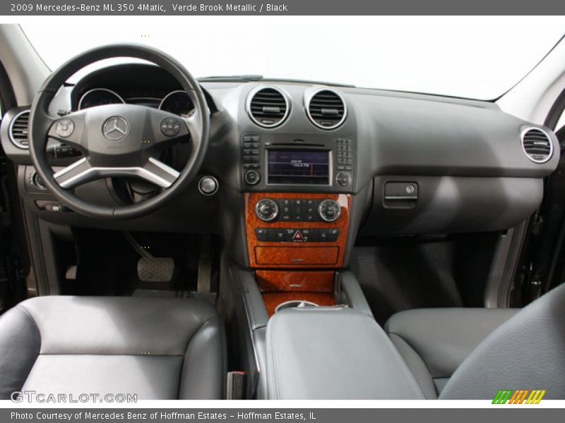 Verde Brook Metallic / Black 2009 Mercedes-Benz ML 350 4Matic
