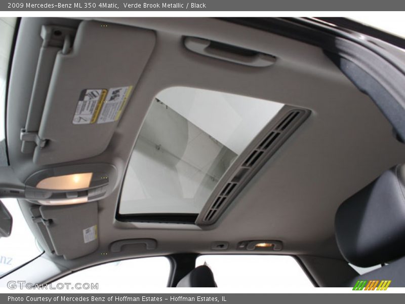 Verde Brook Metallic / Black 2009 Mercedes-Benz ML 350 4Matic
