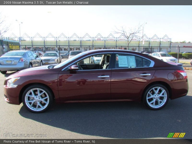 Tuscan Sun Metallic / Charcoal 2009 Nissan Maxima 3.5 SV