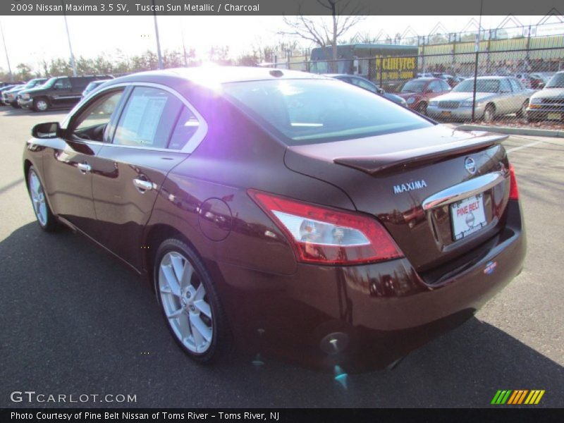 Tuscan Sun Metallic / Charcoal 2009 Nissan Maxima 3.5 SV