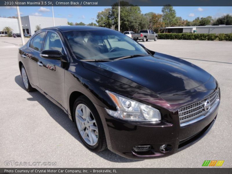 Crimson Black / Charcoal 2010 Nissan Maxima 3.5 SV