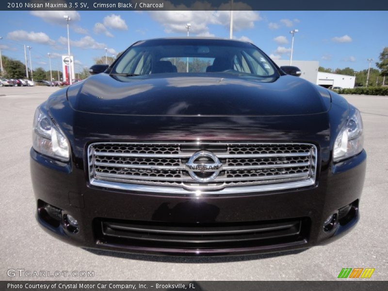 Crimson Black / Charcoal 2010 Nissan Maxima 3.5 SV