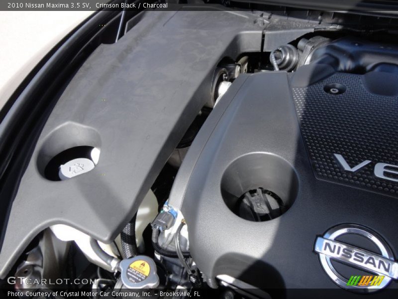 Crimson Black / Charcoal 2010 Nissan Maxima 3.5 SV