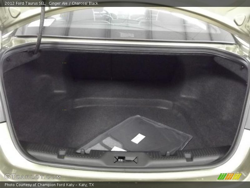 Ginger Ale / Charcoal Black 2012 Ford Taurus SEL