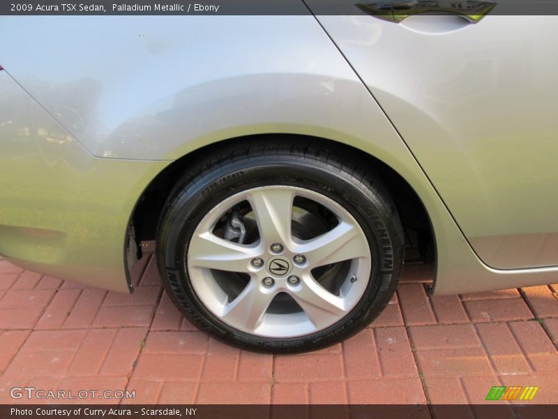 Palladium Metallic / Ebony 2009 Acura TSX Sedan