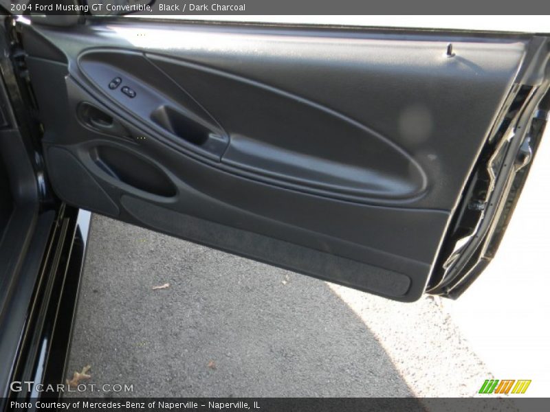 Door Panel of 2004 Mustang GT Convertible