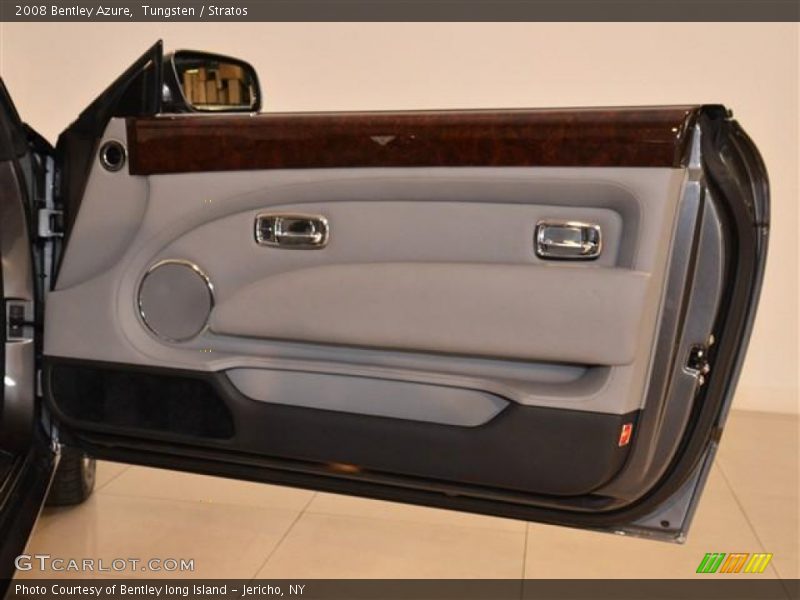 Door Panel of 2008 Azure 