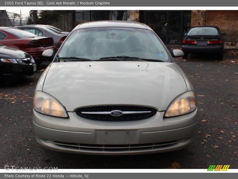 Gold Ash Metallic / Medium Graphite 2003 Ford Taurus SES