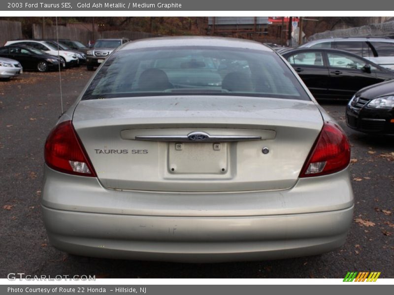 Gold Ash Metallic / Medium Graphite 2003 Ford Taurus SES