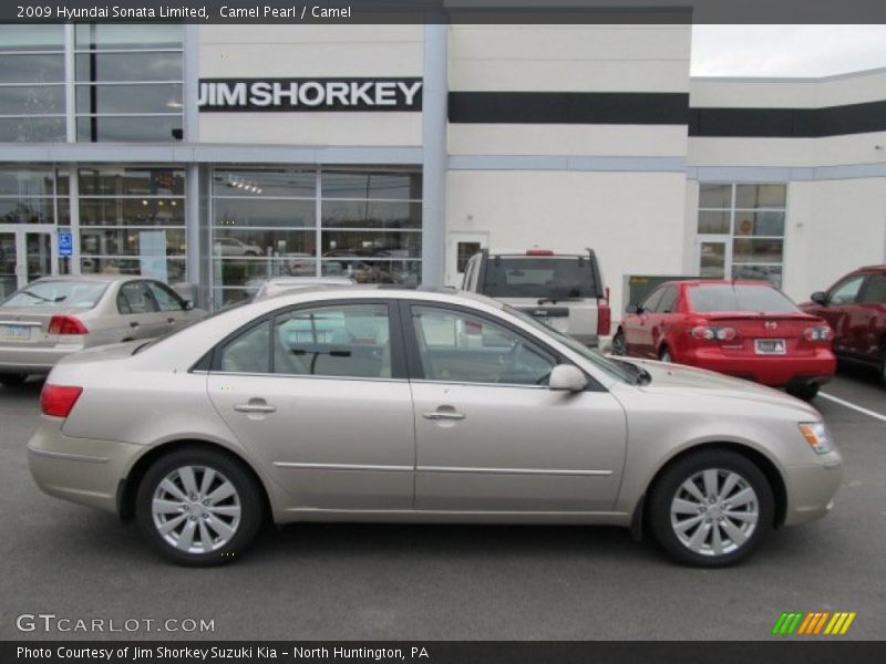 Camel Pearl / Camel 2009 Hyundai Sonata Limited