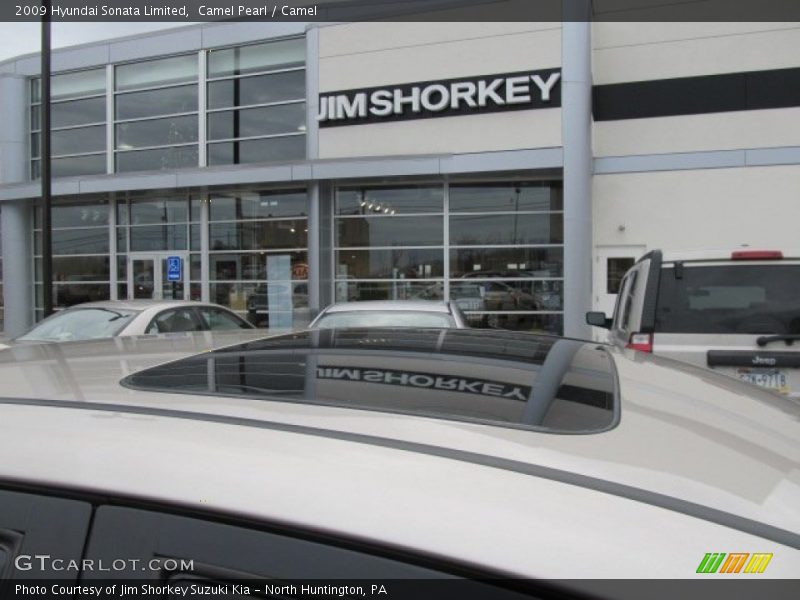Camel Pearl / Camel 2009 Hyundai Sonata Limited