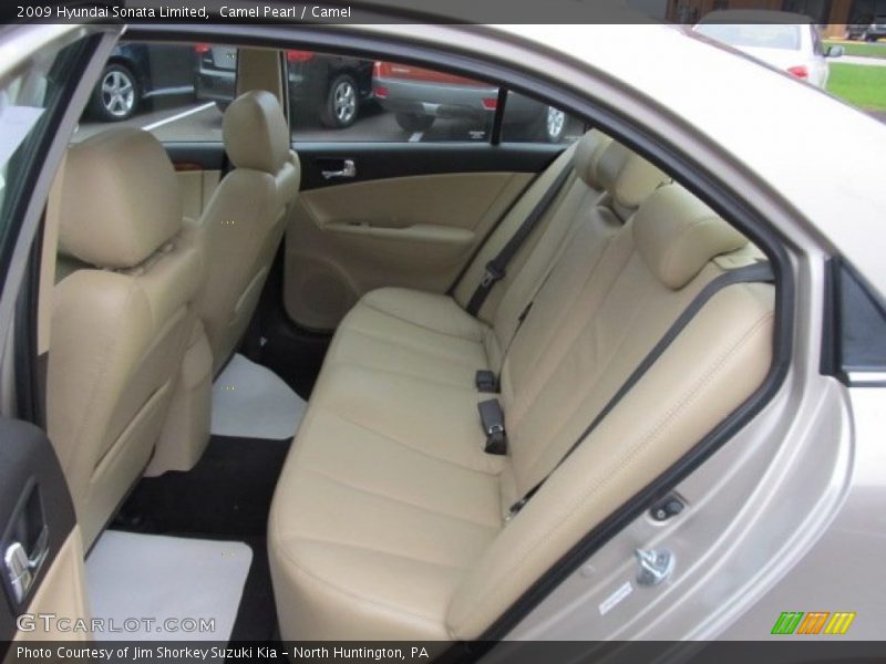 Camel Pearl / Camel 2009 Hyundai Sonata Limited