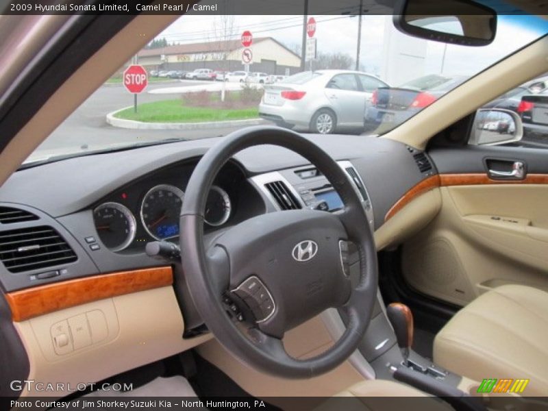 Camel Pearl / Camel 2009 Hyundai Sonata Limited