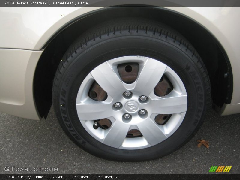 Camel Pearl / Camel 2009 Hyundai Sonata GLS