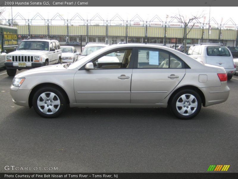 Camel Pearl / Camel 2009 Hyundai Sonata GLS