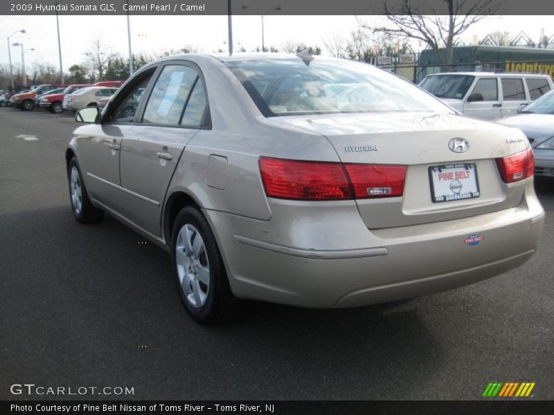 Camel Pearl / Camel 2009 Hyundai Sonata GLS