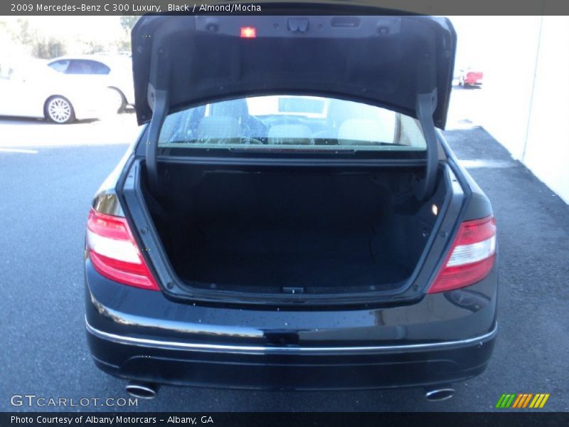 Black / Almond/Mocha 2009 Mercedes-Benz C 300 Luxury